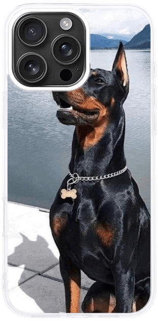 Doberman Urban